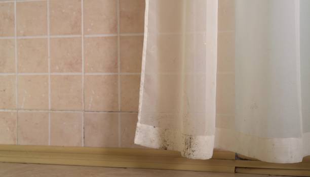 Best Air Quality Testing for Mold Spores  in Apple Valley, MN