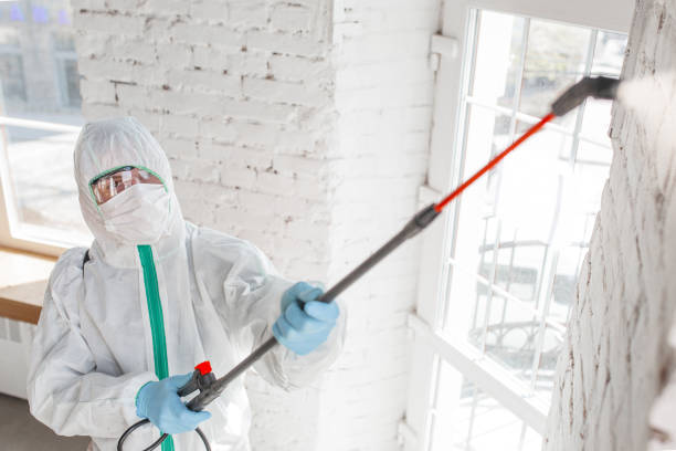 Best Dehumidification Services  in Apple Valley, MN