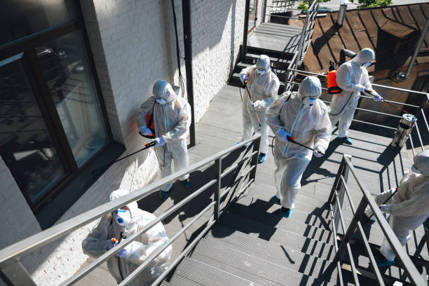 Best Mold Remediation for Vacation Homes  in Apple Valley, MN
