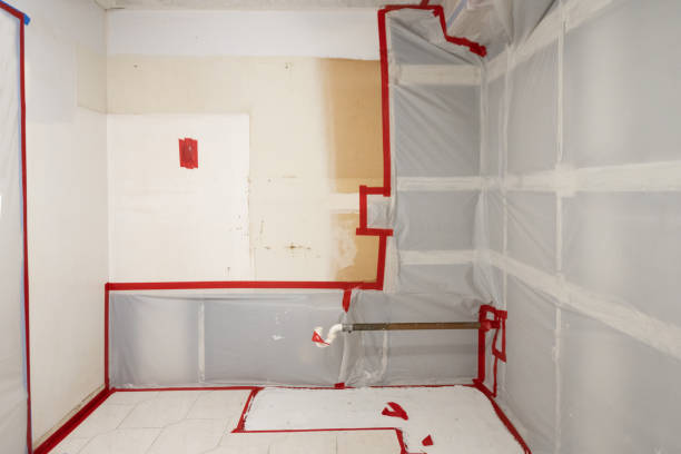 Best Mold-Related Health Consultation  in Apple Valley, MN