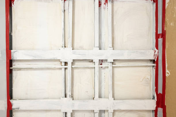 Best Mold Remediation for Healthcare Facilities  in Apple Valley, MN