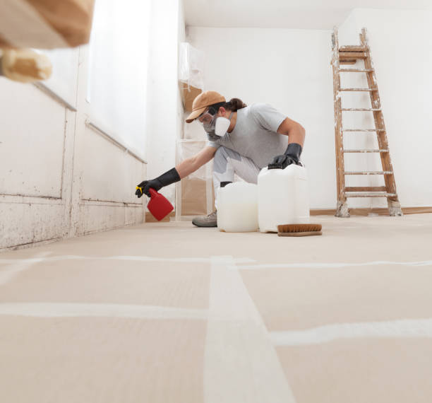 Best Mold Prevention Services  in Apple Valley, MN